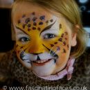 Cheetah!