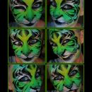 Tiger Tiger!